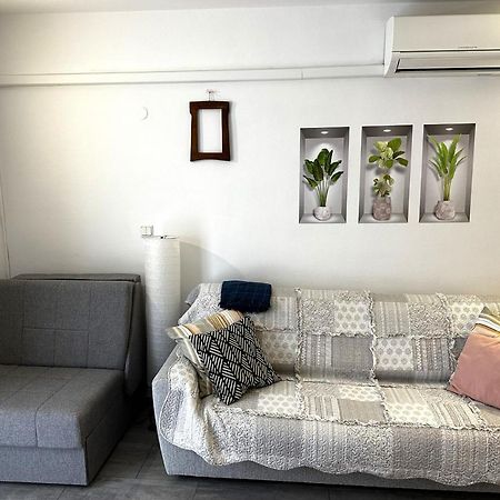 Mirta Deluxe Superior 5 Star Apartment, Your Piece Of Heaven By The Sea & Park, With Sea & Park View Novigrad  Ngoại thất bức ảnh
